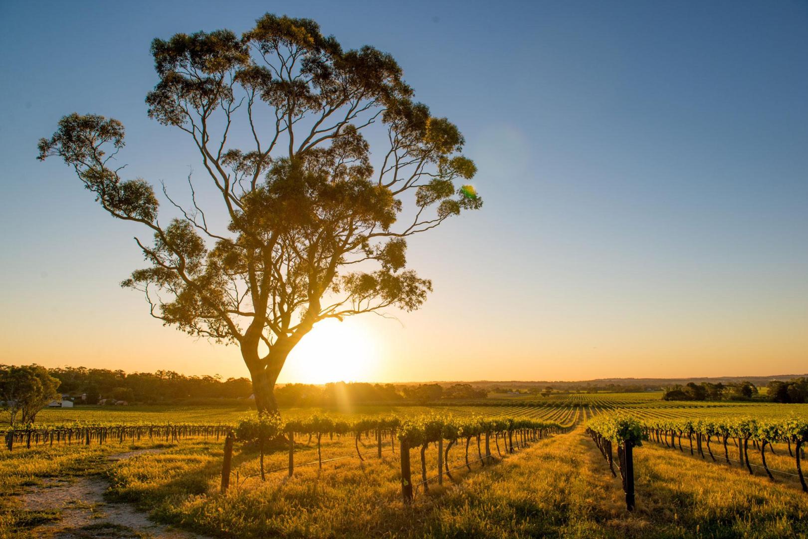Australia