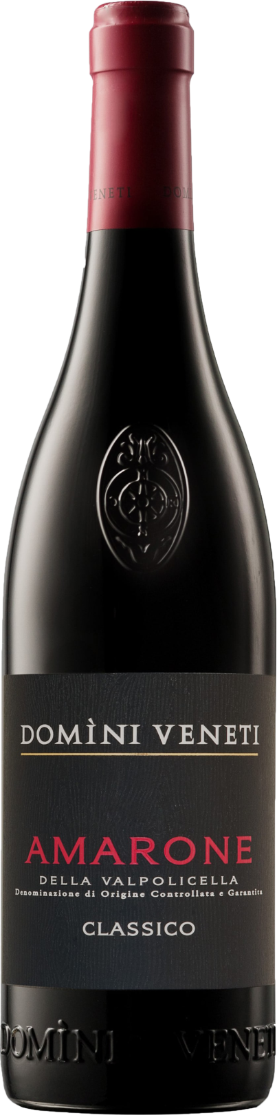 Domìni Veneti Amarone d. Valpolicella C. DOCG 2015