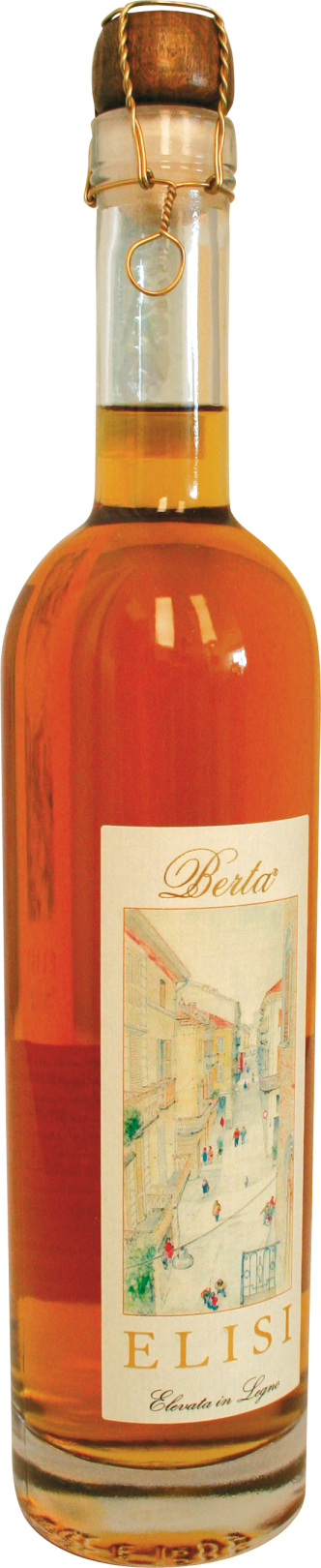 Berta Grappa Elisi