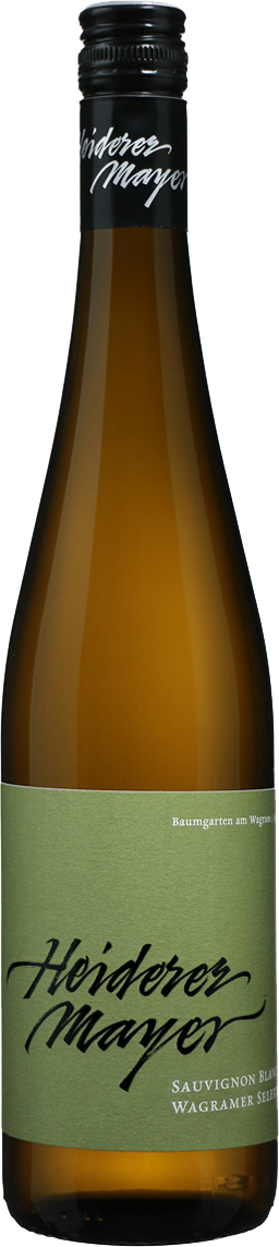 Sauvignon Blanc Wagramer Selektion Wagram QW 2020
