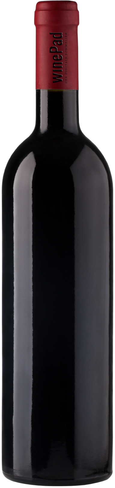 Ried Schüttenberg Syrah Carnuntum 2016