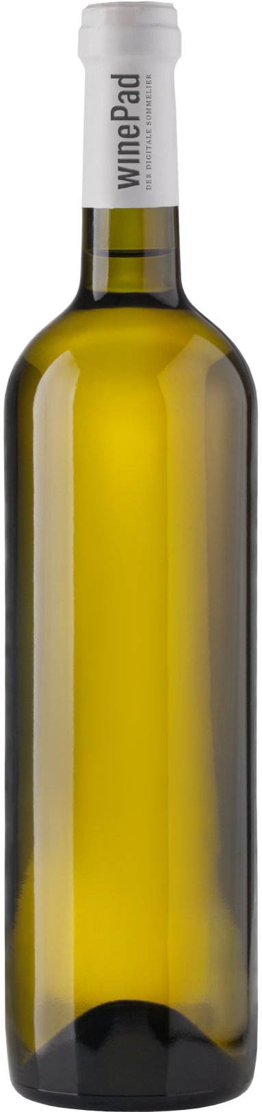 Riesling Spitzer Graben Smaragd Wachau QW 1981